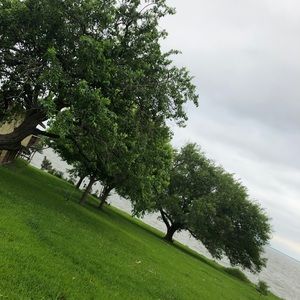 Meet your Posher, Alexander